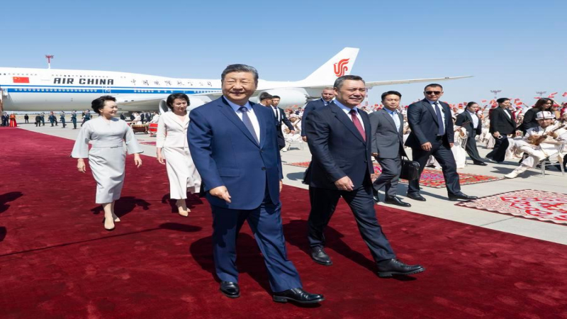 (وسائط متعددة) مقالة خاصة: 